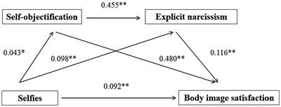 The impact of selfies on body image satisfaction and the chain mediating role of self-objectification and narcissistic personality